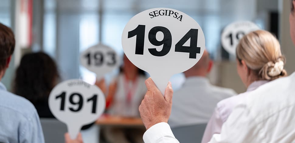 SEGIPSA_Subasta_-4