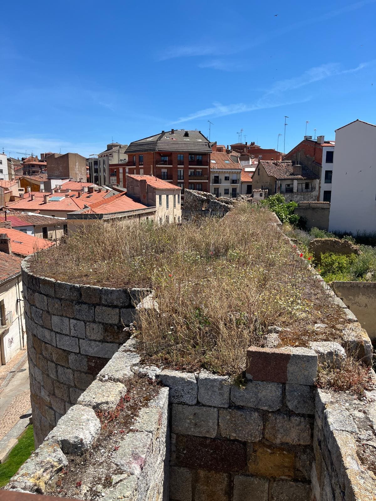 C14 - CONSOLIDACIÓN Y RESTAURACIÓN DE VARIOS TRAMOS DE LA MURALLA DE ZAMORA